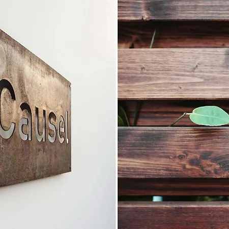 Causel فيلة